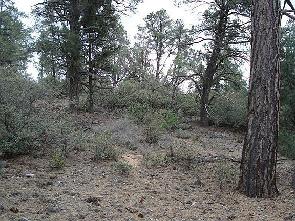 5th image of 2303 E Yerba Serita #87