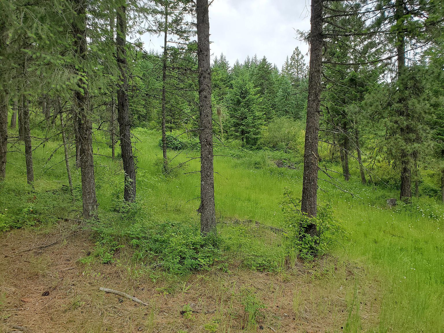 Nka Hwy 95, Plummer, ID 83851 Zillow
