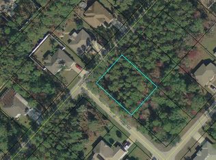 126 Ryberry Dr, Palm Coast, FL 32164