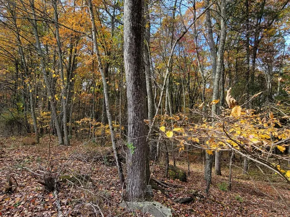 26 Wood Oak Dr, Narrowsburg, NY 12764