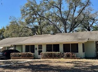 313 S Rossiter St, Mount Dora, FL 32757