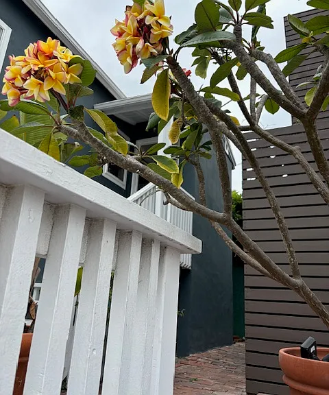 Access to small backyard to store a surfboard or two
