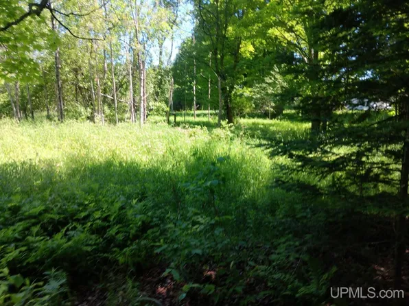 Negilski Rd, Munising, MI 49862