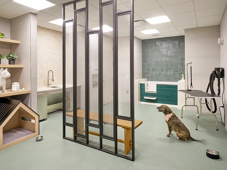 Brand New Pet Spa