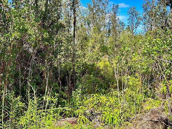 5th image of 16 1021 Old Volcano Trl Lot 2973