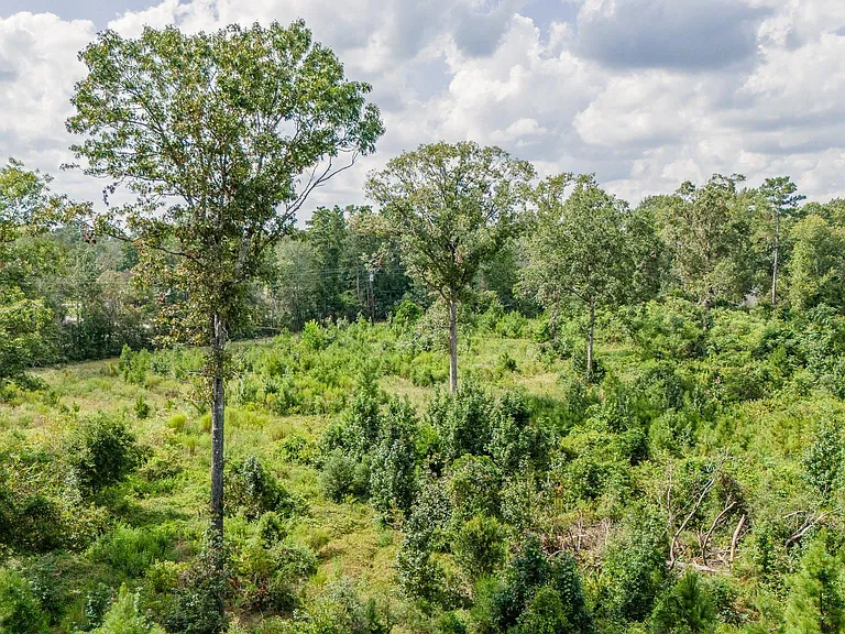 17171 E FM 1097 Rd — Photo 11