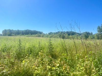 6576 Us Highway 31, Berrien Springs, MI, 49103