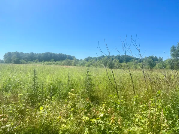 6576 Us Highway 31, Berrien Springs, MI 49103