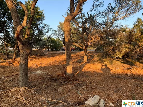 1383 Harmon Hills Rd, Dripping Springs, TX 78620