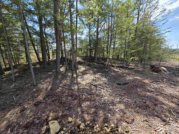 5th image of Map 417 Lot 51 Shannon Road