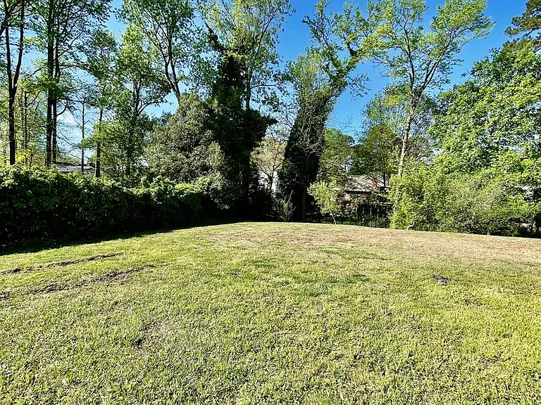 6215 Deep Forest Ln — Photo 28