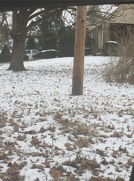 2nd image of 2971 Guffey Rd