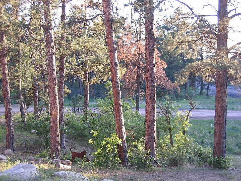 view from front porch