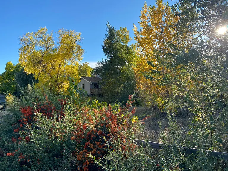View of property from bike path.