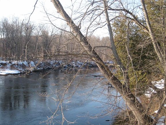 4th image of 1932 W River Rd