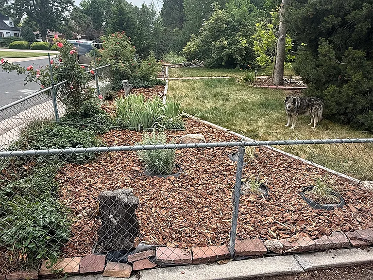 1175 S Dale Ct — Photo 11