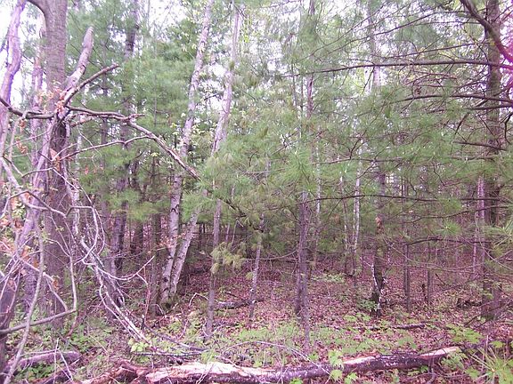 5th image of County Rd S