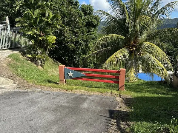 Bo, Gurabo, PR 00778