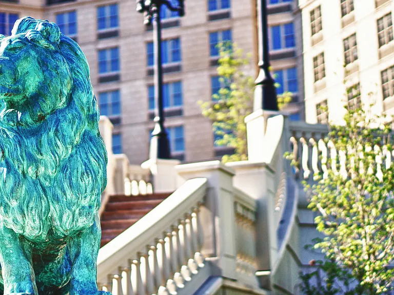 The Alexander — Photo 24