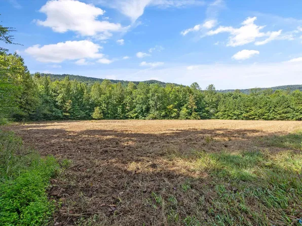 3818 Five County Road 4 Tract, Hollytree, AL 35751