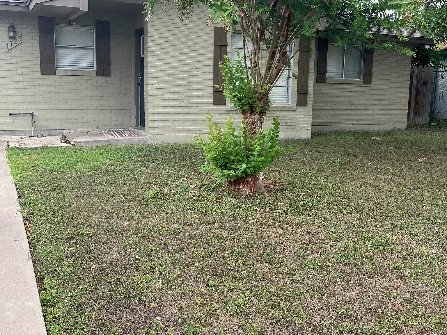 3 bed, 1258 sqft, $1,700 — Photo 2