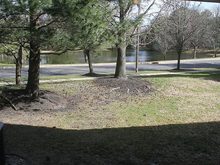 patio view