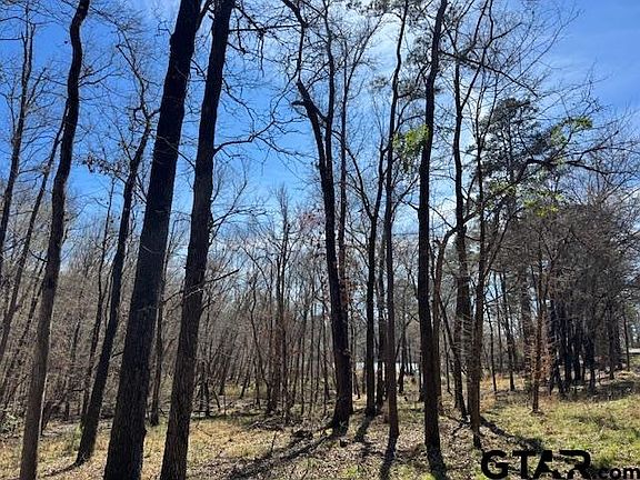 2nd image of 0 An County Rd #319