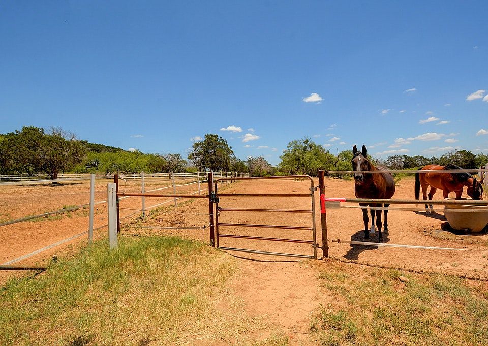 Horse arena in the 'hood.