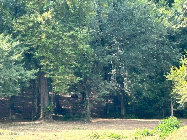 1 Fogg Rd #1, Nesbit, MS 38651