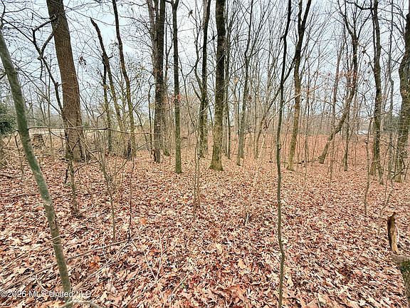 4th image of Pioneer Vlg Lot 14