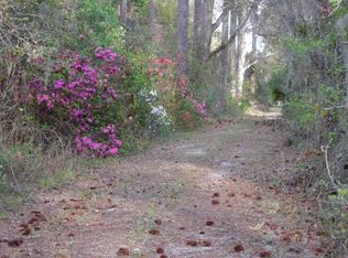 3650 County Road 13 S, Elkton, FL 32033