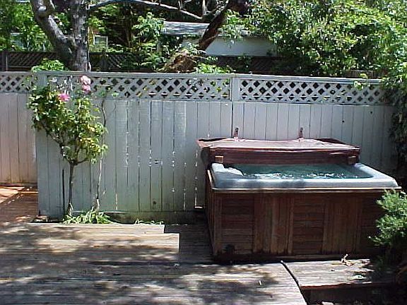 Spa hot tub in back yard