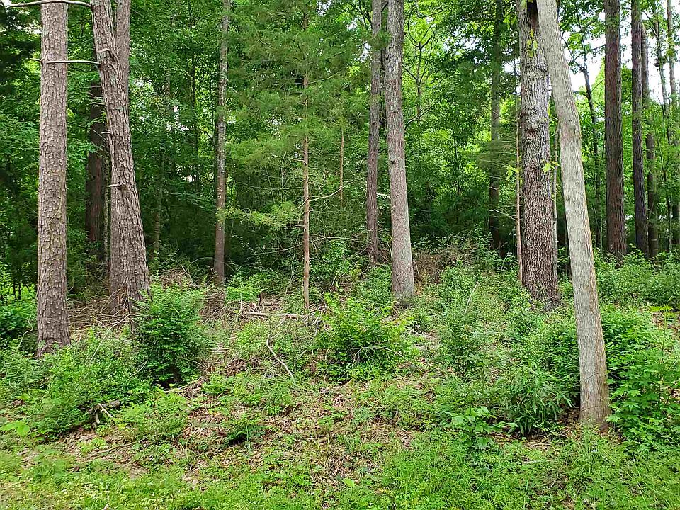 2nd image of 315 Woodland Est