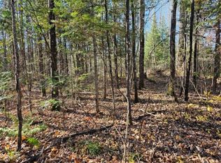 5913 N Adventurers Trl, Mercer, WI 54547