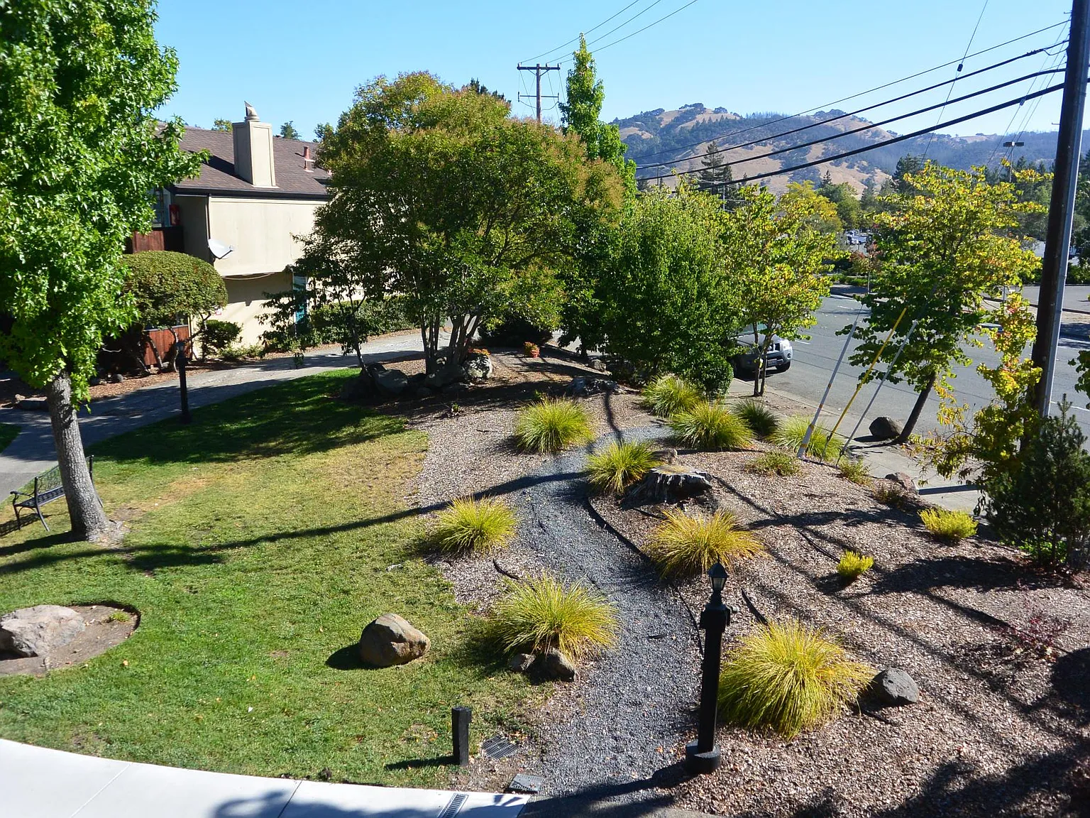 Pine Wild Apartments — Photo 4