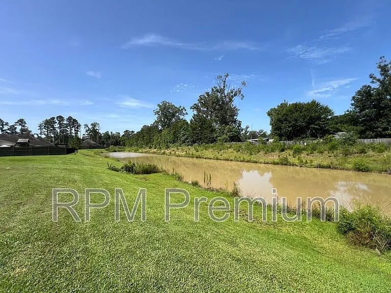 18063 River Landing Dr — Photo 4