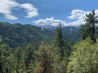 1233 Ute Creek Rd, Idaho Springs, CO 80452