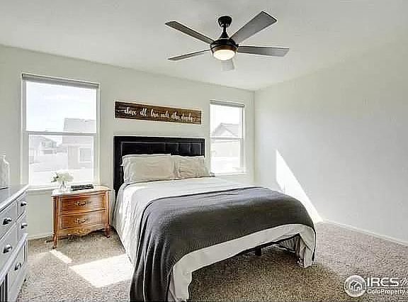 3rd image of 249 Castle Dr