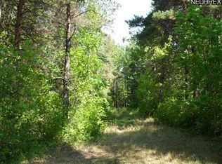 9055 Coon Club Rd, Medina, OH 44256