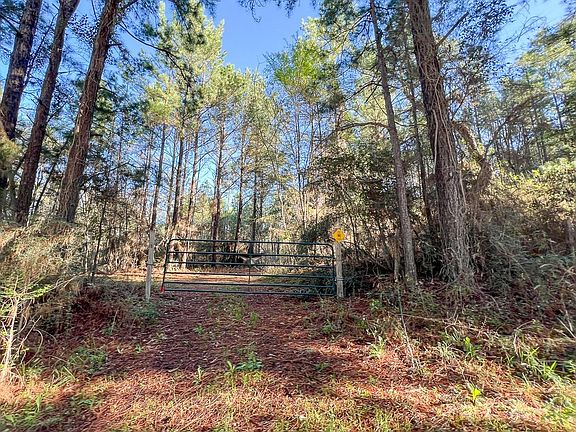 5th image of 1 Bishop Rd