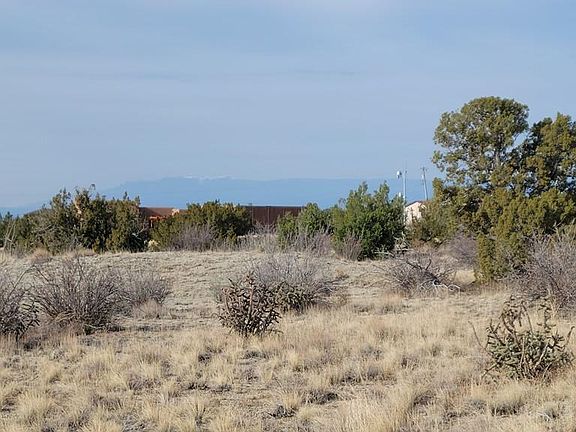 4th image of 1651 N Bonita Dr