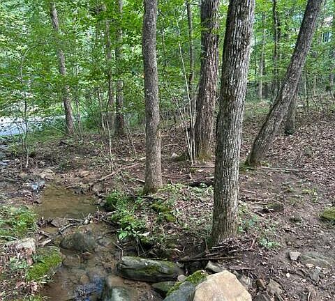 44th image of 159-161 Sugarbush Cir