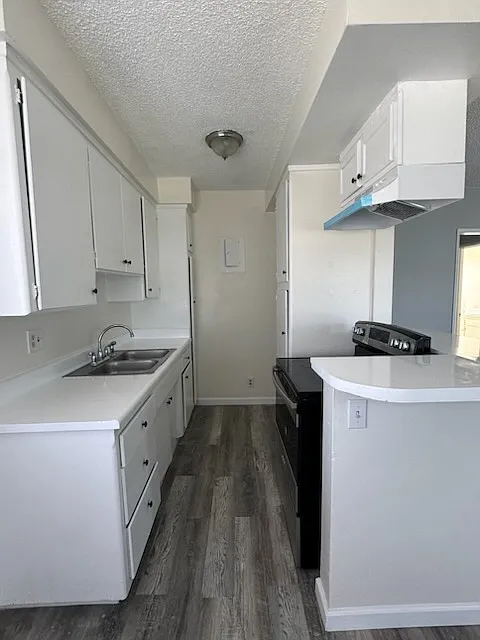 1 bed, 600 sqft, $1,650 — Photo 4