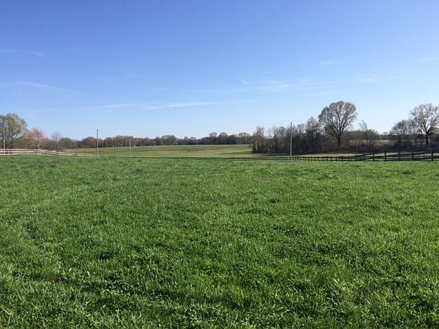 Potential View from your Front Porch