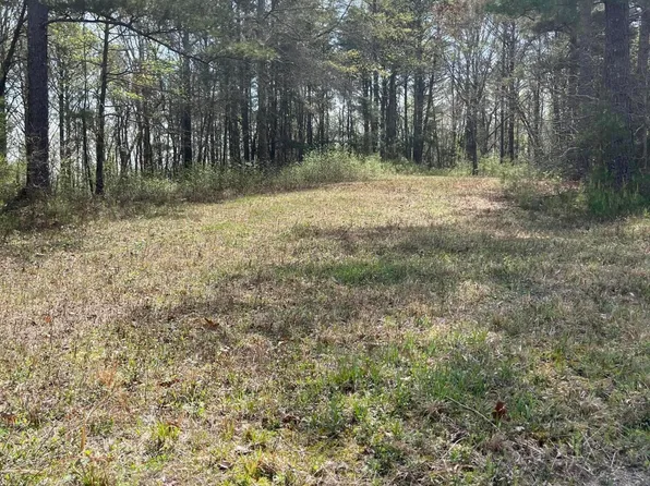 0 Beck Dr, Double Springs, AL 35553