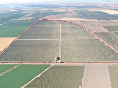 48450 W Sutter Rd, Clarksburg, CA, 95612