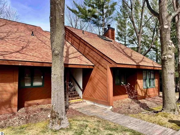 4826 704 Crossover Dr, Bellaire, MI 49615