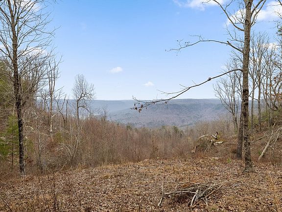 5th image of 5370 River Rd