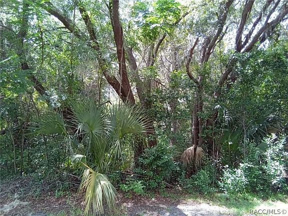 4th image of 34 Wild Olive Ct