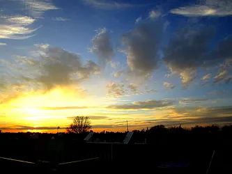 Rented by East Williamsburg Realty Inc